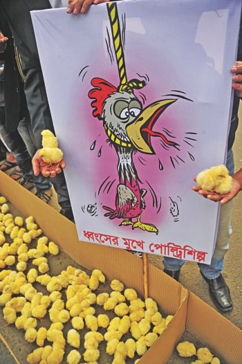 Poultry farmers were so frustrated with political unrest that they held a protest rally in front of the Jatiya Press Club in December and gave away chicks to people passing by saying they could not feed the chicks anymore. Photo: STAR