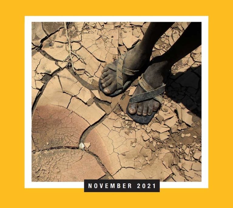 Towards a Low-Carbon and Climate-Resilient World: Expectations from COP26