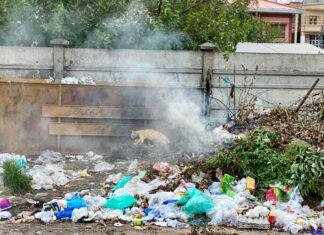 Green Cities Without Air and Plastic Pollution?