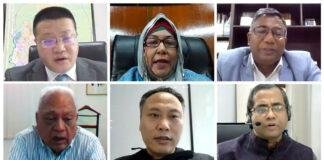 Renewable energy sector could be significantly benefitted through overseas investment of China