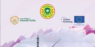 জাতীয় বাজেট ২০২৪-২৫ সারসংক্ষেপ: জ্বালানি ও বিদ্যুৎ খাত