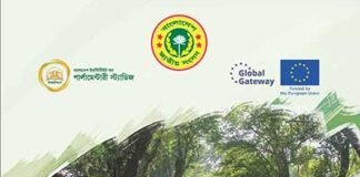 জাতীয় বাজেট ২০২৪-২৫ সারসংক্ষেপ: স্থানীয় সরকার ও পল্লী উন্নয়ন