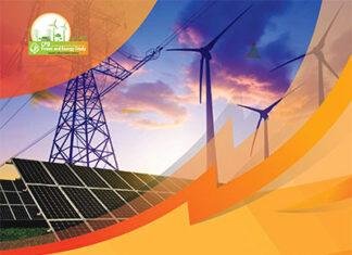 Power and Energy Sector Reform – Agenda for the Interim Government
