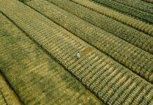 It’s the IMF’s Turn: An Evolution for Development and Climate Change Goals