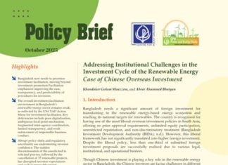 Addressing Institutional Challenges in the Investment Cycle of the Renewable Energy