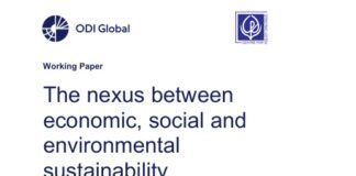 The nexus between economic, social and environmental sustainability