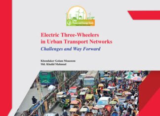 Electric Three-Wheelers in Urban Transport Networks: Challenges and Way Forward