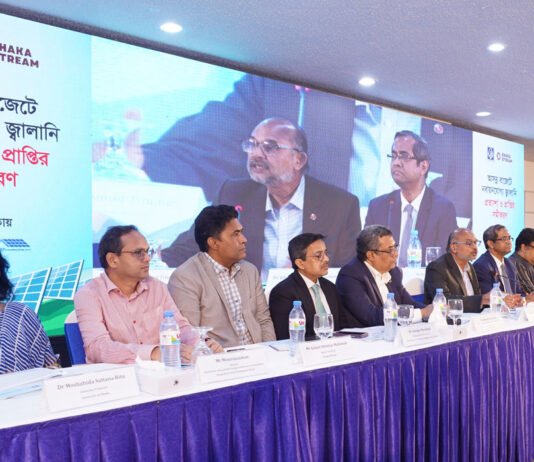 Upcoming national budget should not overshadowed renewables by fossil fuels